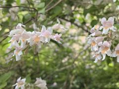 -国家植物园
