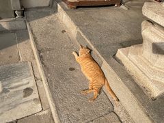-华林禅寺