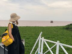 -洞里萨湖
