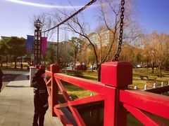 -上海市第一人民医院(松江南部)