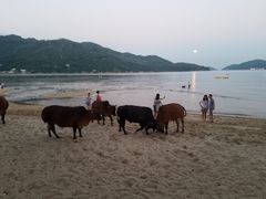-梅窝