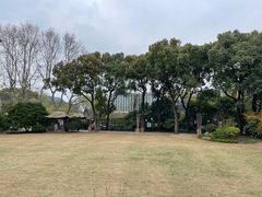 -上海醉白池公园
