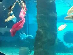 -北戴河圣蓝海洋公园