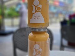-野萃山·潮汕厚果汁(十亩地店)