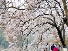 -红星桥(地铁站)