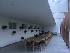 -午后庭院