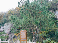-蛇蟠岛