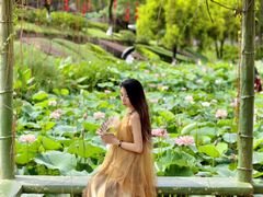 -广州莲花山旅游区