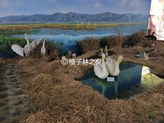 -延庆地质公园博物馆