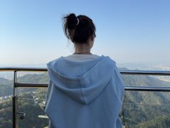 -大金鹰园