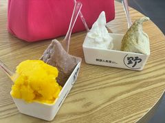 -野人先生Gelato(上海长宁龙之梦店)
