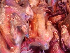 -老字号周记古蔺麻辣鸡·非物质文化遗产传承店