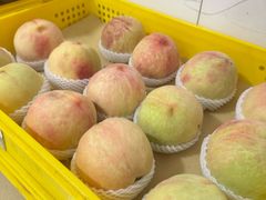 -老袁家蜜桃农场·阳山水蜜桃