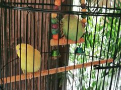 -泸州唯逸酒店(大山坪警察学院店)