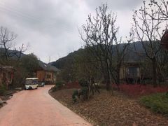 -杭州开元森泊度假乐园