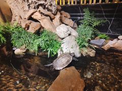 -浣花锦绣(杜甫草堂店)