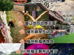 -灵玲国际马戏城