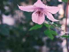 -三仟津花园咖啡馆