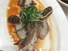 -稻香酒家·35年老字号(侨光店)