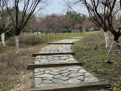 -武汉园博园(武汉自然博物馆)