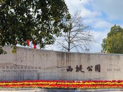 -西堤公园