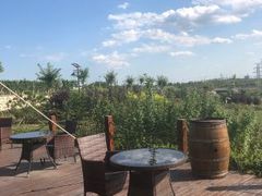 -丹世红酒庄·烧烤·团建·婚礼·水上运动