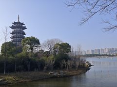-洋湖国家湿地公园