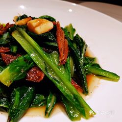 豆豉鲮鱼油麦菜怎么做第二顿好吃 p-KCg5CJ_XmQ2K8R99By30ONSdVrTn3XXPiCBMYJyeGZRJPppoEcDwiwGK5id0MuuzFvxlbkWx5uwqY2qcjixFEuLYk00OmSS1IdNpm8K8sG4JN9RIm2mTKcbLtc2o2vfCF2ubeXzk49OsGrXt_KYDCngOyCwZK-s3fqawWswzk.jpg