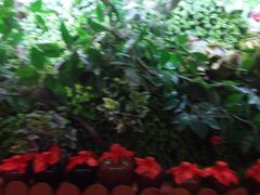 -窄巷子陕菜馆·地道陕西菜(粉巷店)