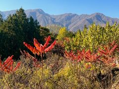 -白水寺森林公园