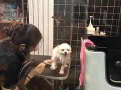 -Goku PET SHOP宠物视觉生活馆(双井店)