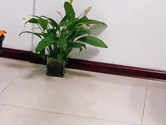 -秦美花卉(天朗·莱茵小城2期店)