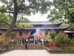 -普陀山风景名胜区-法雨禅寺
