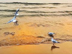 -老虎石海上公园