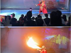 -顺德南宏海立方海洋公园