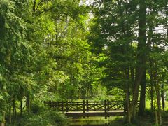 -桤木河湿地公园