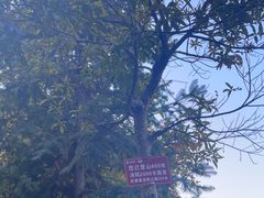 -楠溪江风景名胜区