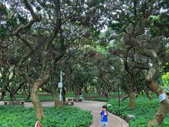 -黄埔荔枝公园