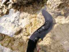-卡马拉海滩