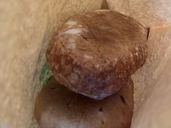 -老梦面包 CHEZMOREL(三源里店)