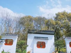 -上海共青森林公园