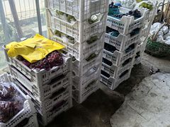 -马陆小张葡萄园农家乐