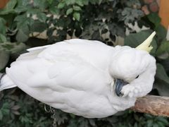 -南宫五洲植物乐园