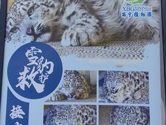-青藏高原野生动物园