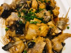 -福建美食城(老君堂店)