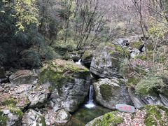 -牛背梁国家森林公园