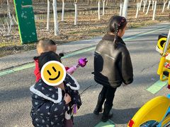 -合肥滨湖国家森林公园