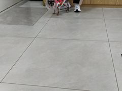 -中农大我爱我爱动物医院·核磁CT·猫病·24小时夜诊中心(石佛营店)