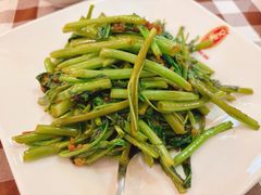 -文东记(马里士他路)