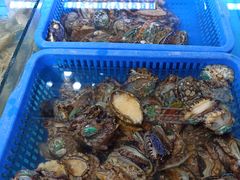 -必点海鲜·鲅鱼水饺(鞍山西道店)